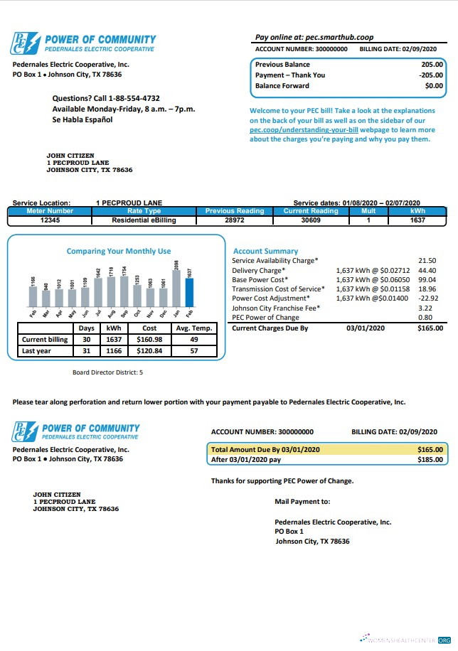 USA Texas Power of Community electricity utility bill in Word and PDF format, good for address prove